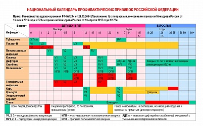 Национальный календарь профилактических прививок Российской Федерации