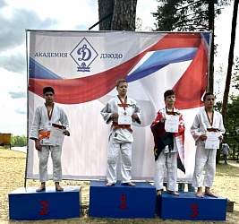 На соревнованиях по дзюдо в г. Раменское наши воспитанники заняли 11 призовых мест